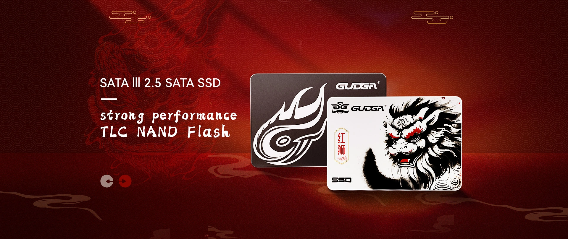 Kwaliteit 2.5 SATA SSD Groothandel Fabrikant