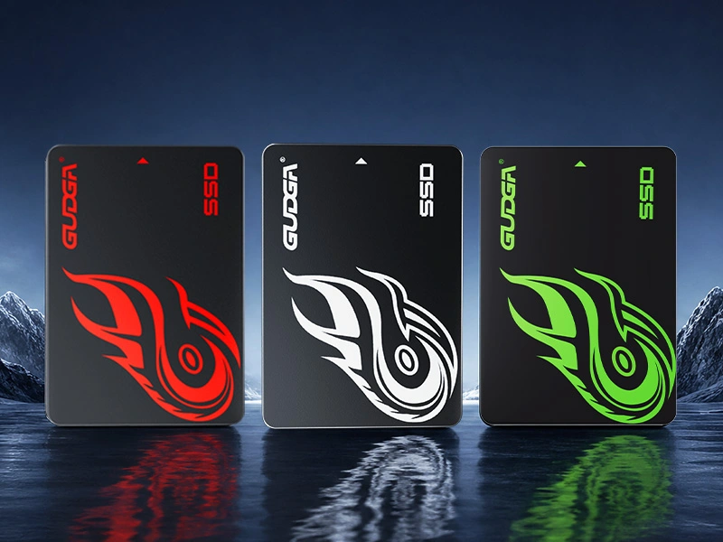 2,5 SATA-SSD