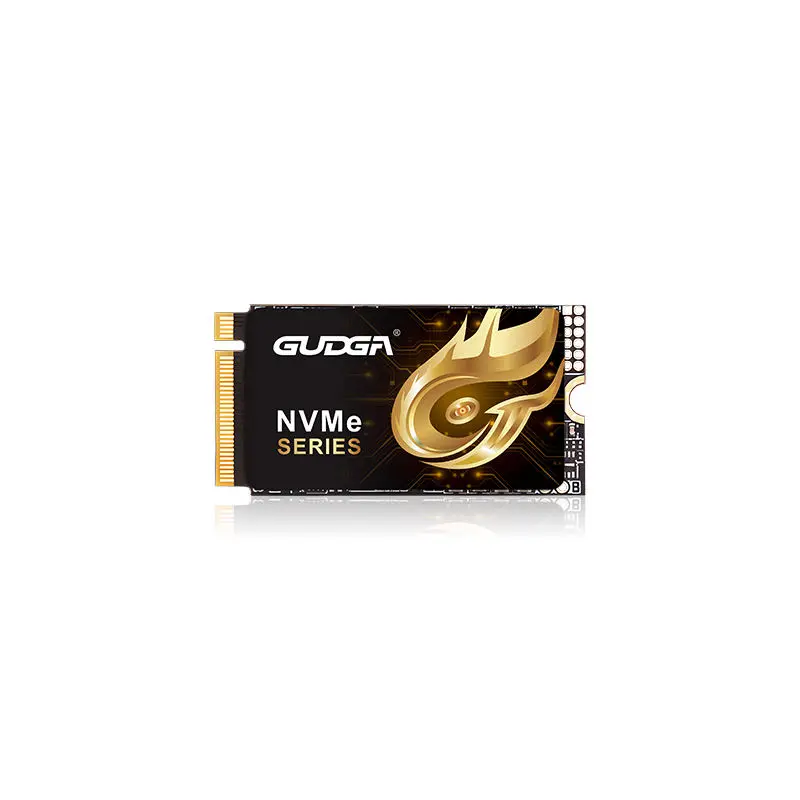 2242 Lengte PCIE 4.0 NVMe SSD 7000 MB/s