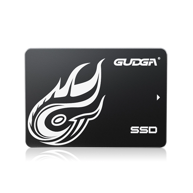 Hoge snelheid SATA SSD